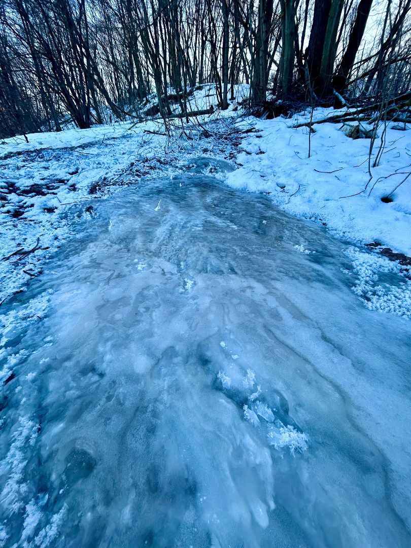 Пущино, экология, туризм, зима, подмосковье,