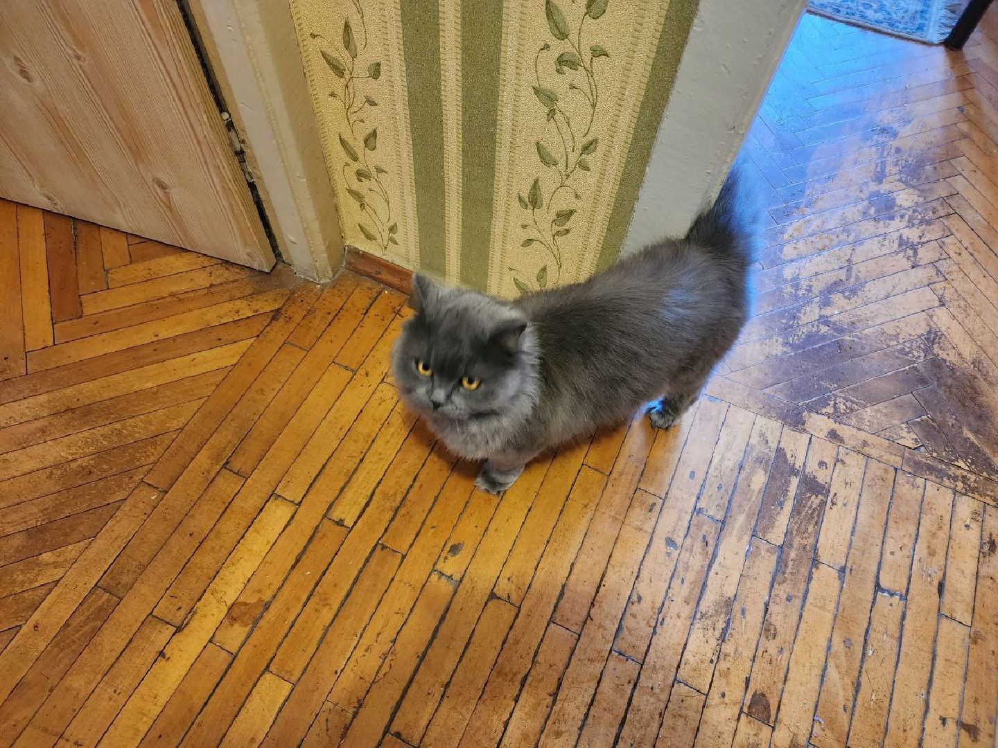 Реутов, ЖКХ, котельная, батареи, температура, теплоноситель,