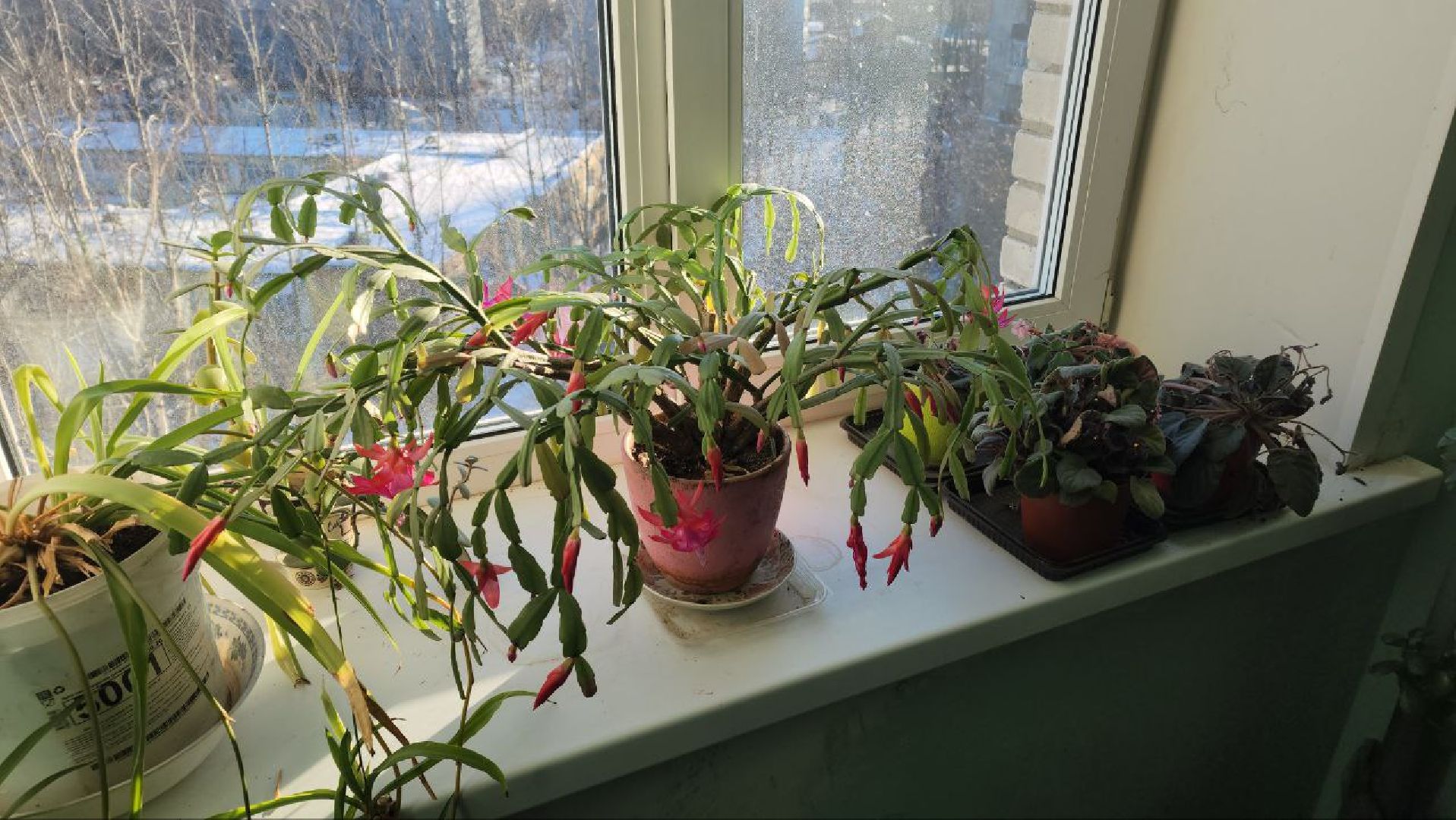 Реутов, ЖКХ, котельная, батареи, температура, теплоноситель,