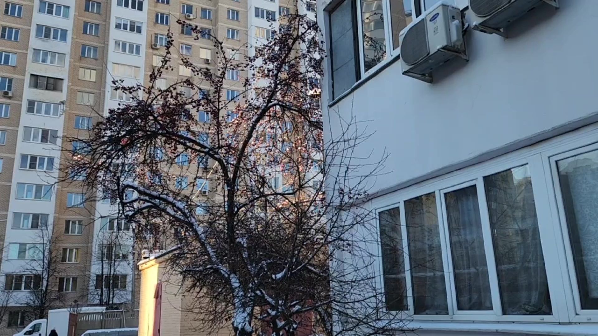 Реутов, ЖКХ, котельная, батареи, температура, теплоноситель,