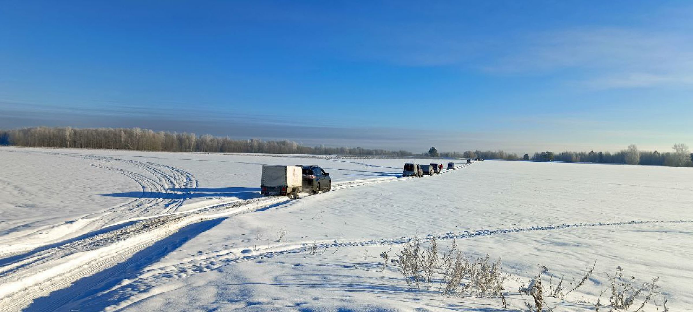 Дмитров, Фестиваль аэростатов, Яблоки на снегу,