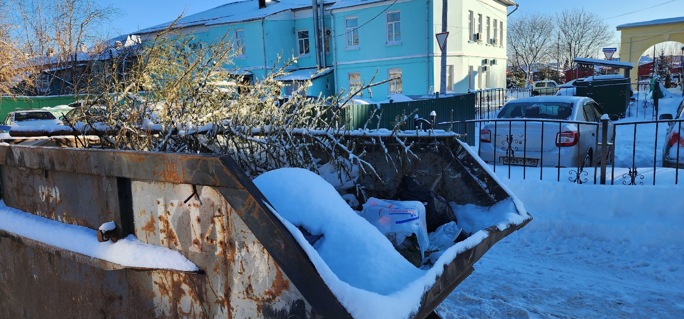 Коломна, новогодняя елка, экологическая акция, переработка, мегабак,