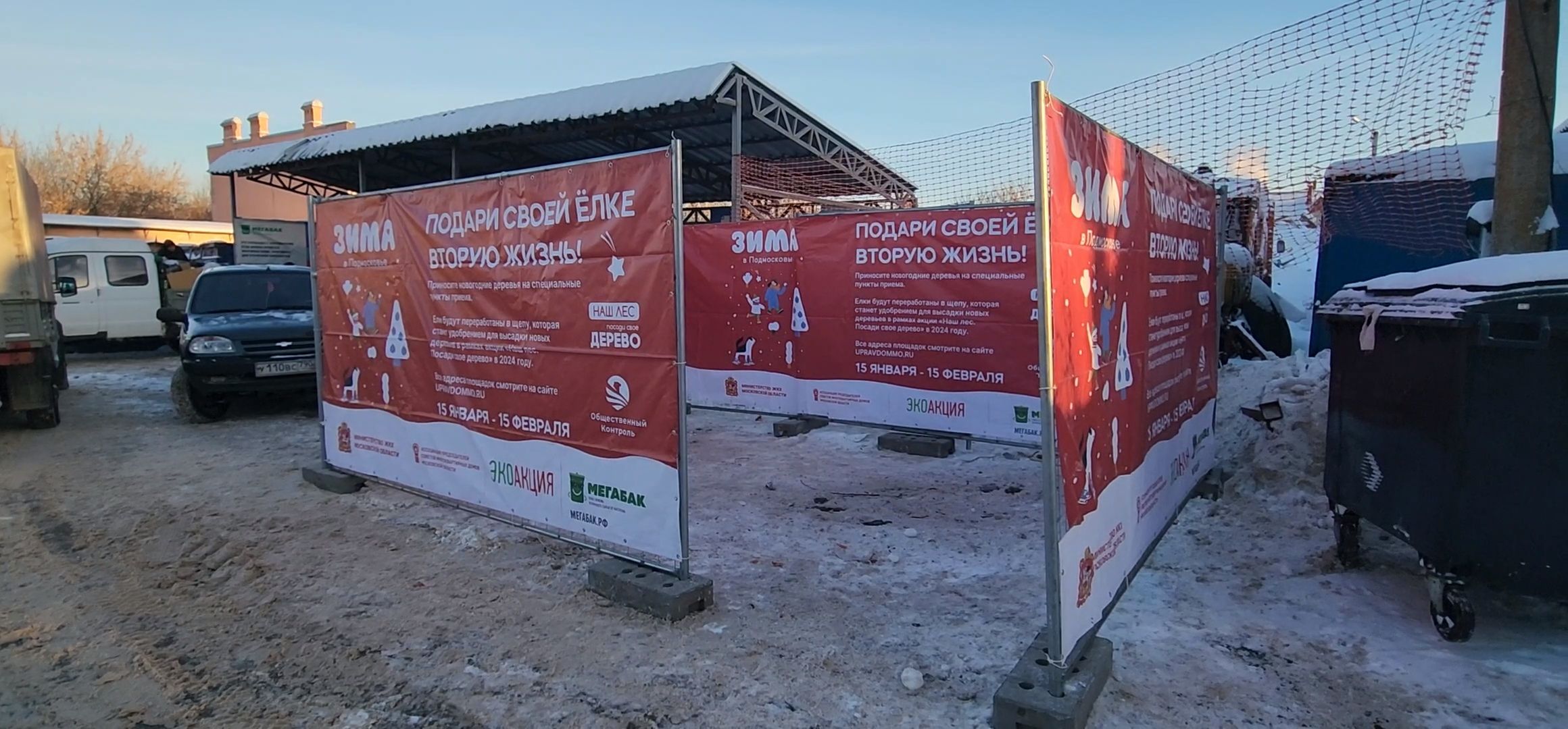 Коломна, новогодняя елка, экологическая акция, переработка, мегабак,