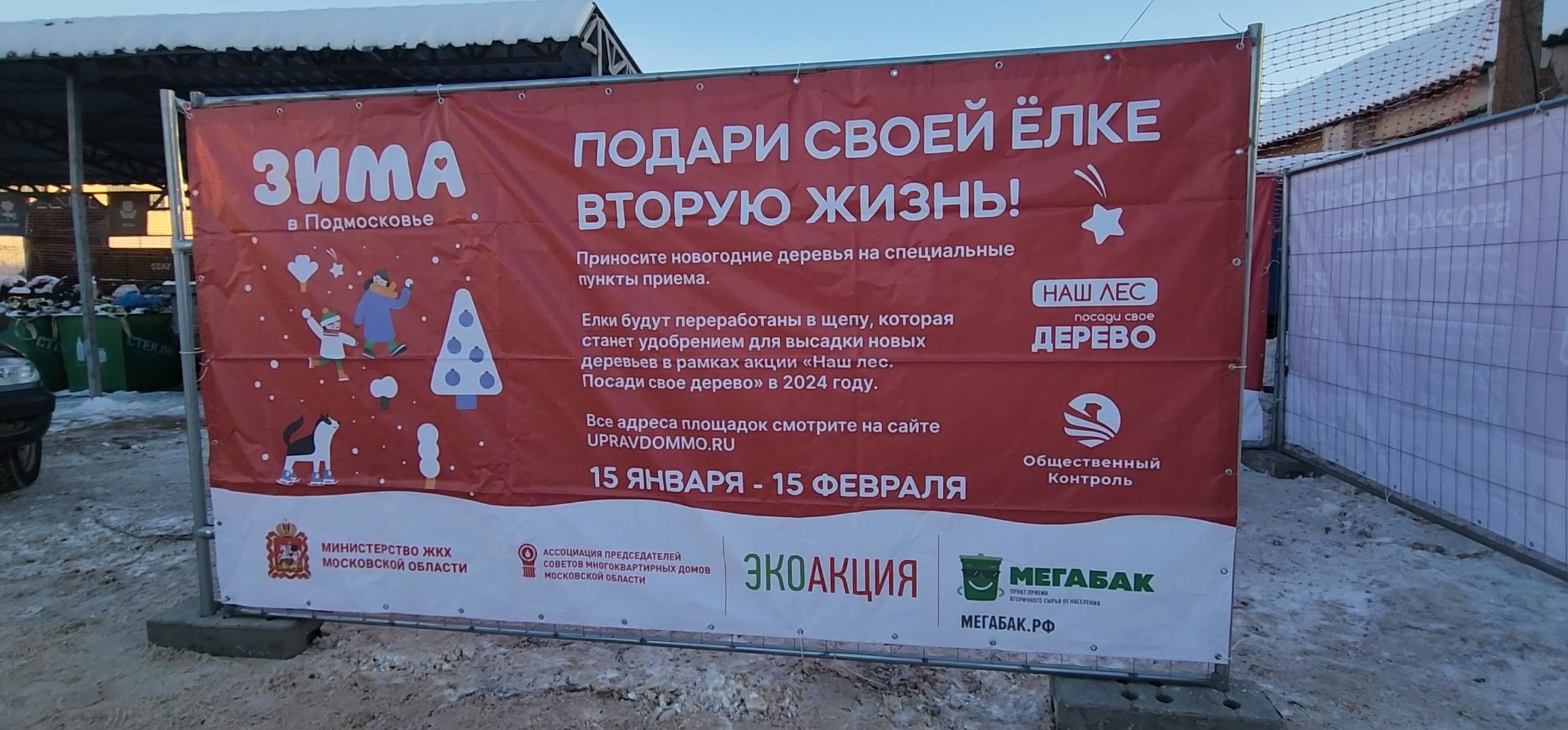 Коломна, новогодняя елка, экологическая акция, переработка, мегабак,