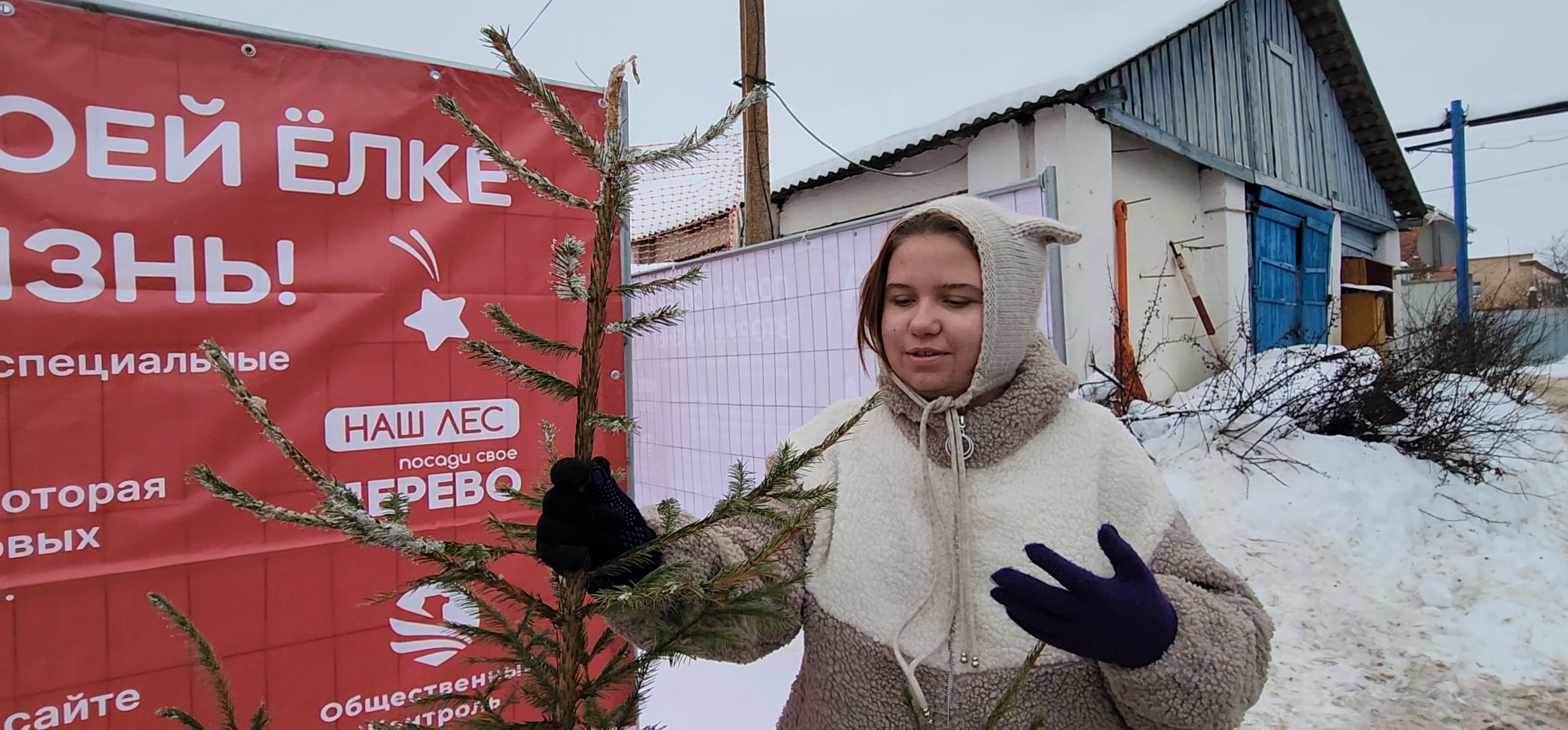 Коломна, новогодняя елка, экологическая акция, переработка, мегабак,