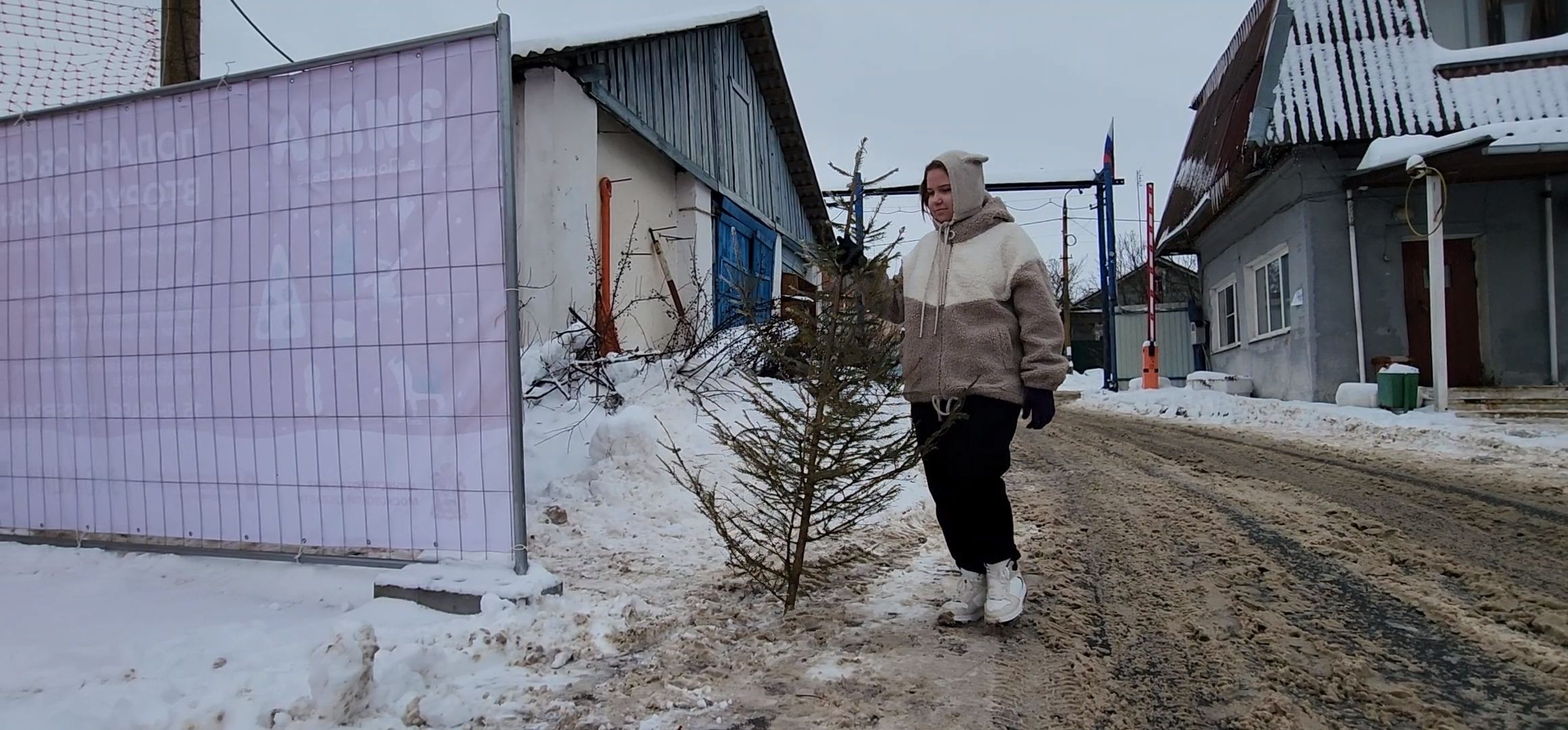 Коломна, новогодняя елка, экологическая акция, переработка, мегабак,