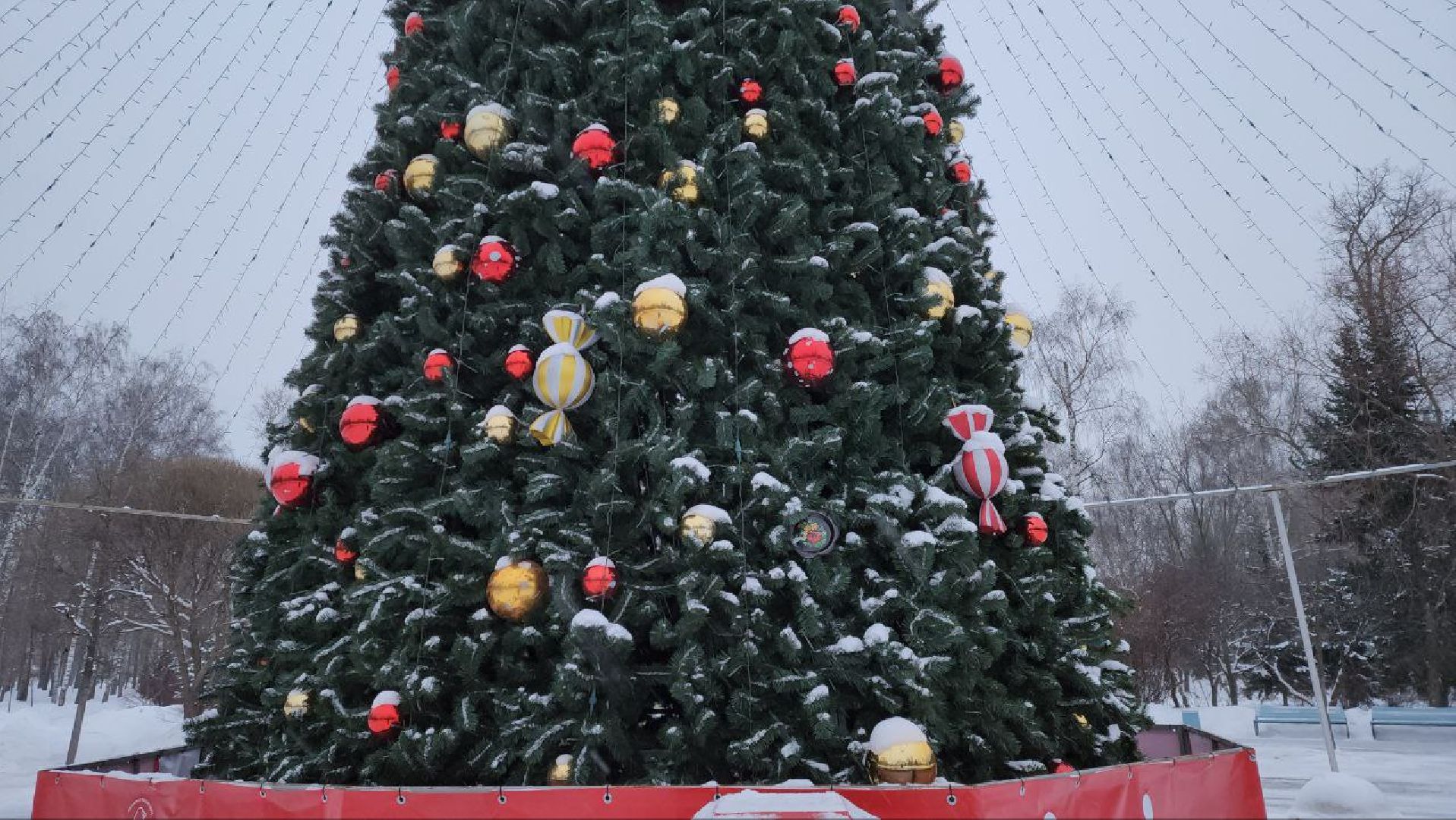 мытищи, Жостово, Фабрика росписи Жостово, Подносы Жостово, ёлка, парк мира,