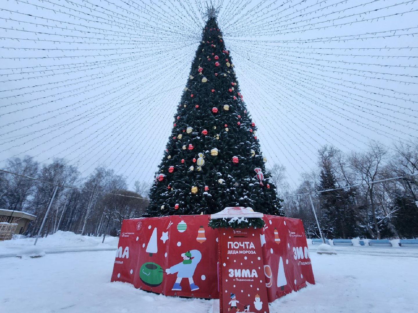 мытищи, Жостово, Фабрика росписи Жостово, Подносы Жостово, ёлка, парк мира,