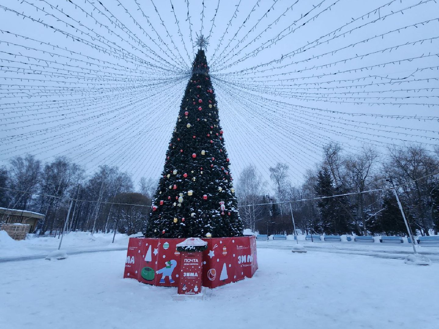 мытищи, Жостово, Фабрика росписи Жостово, Подносы Жостово, ёлка, парк мира,