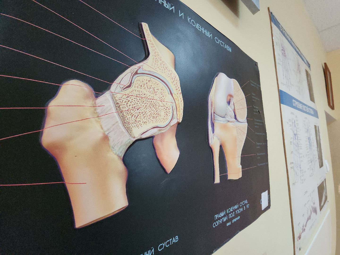 коломна, медицина, травмы, праздники,