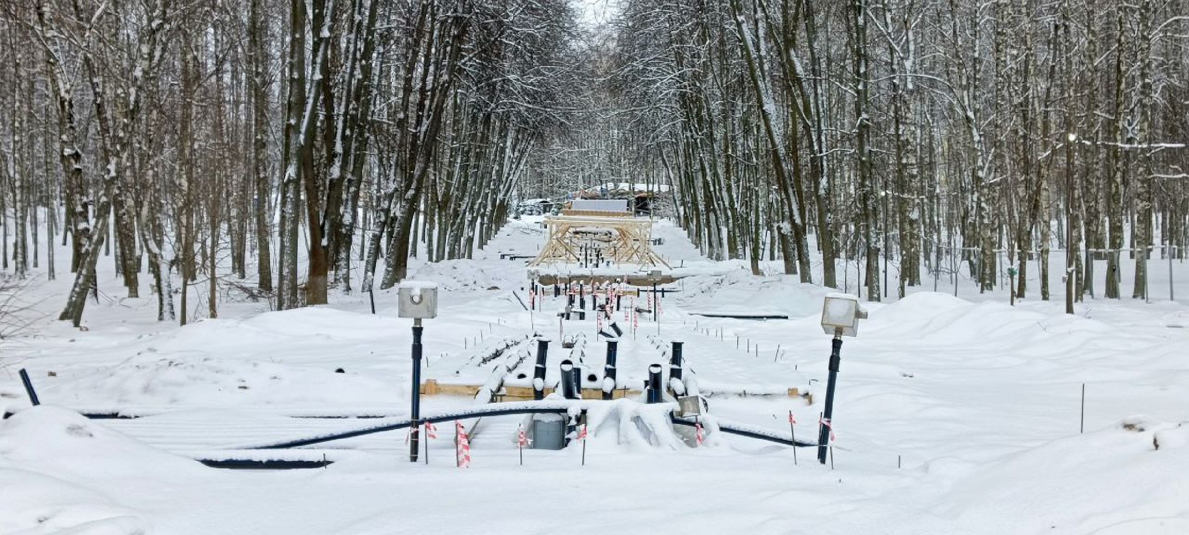 Дмитров, Парк Березовая роща,Минблаго,