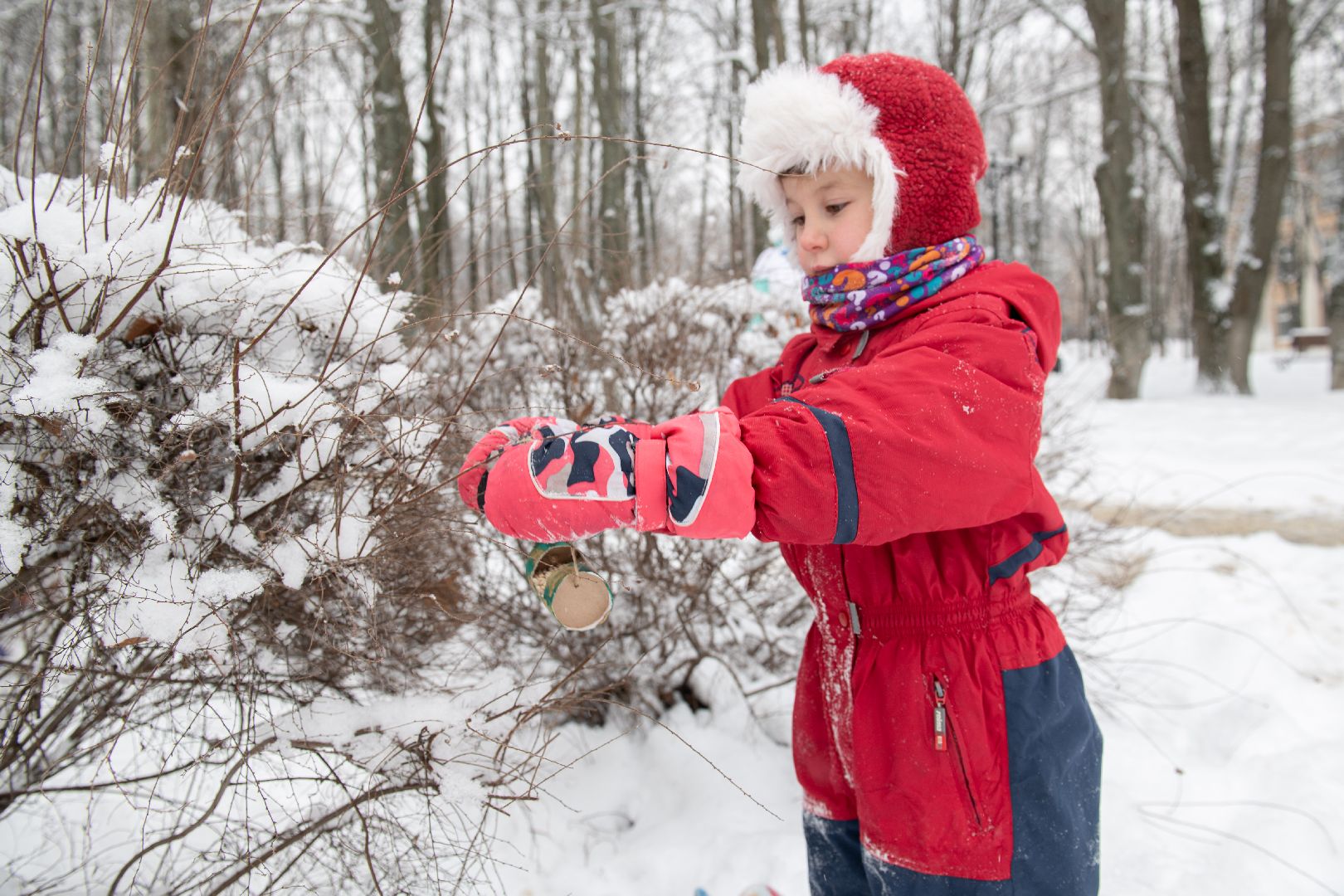 лыткарино, общество, парк, интерактив,