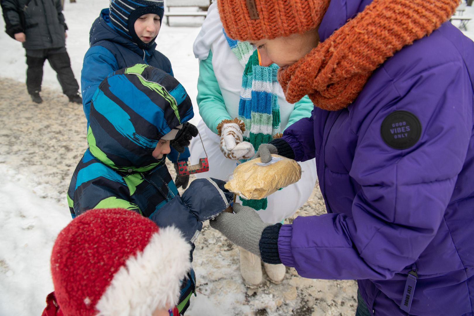 лыткарино, общество, парк, интерактив,