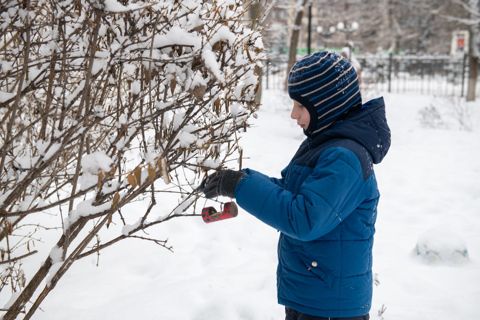 лыткарино, общество, парк, интерактив,