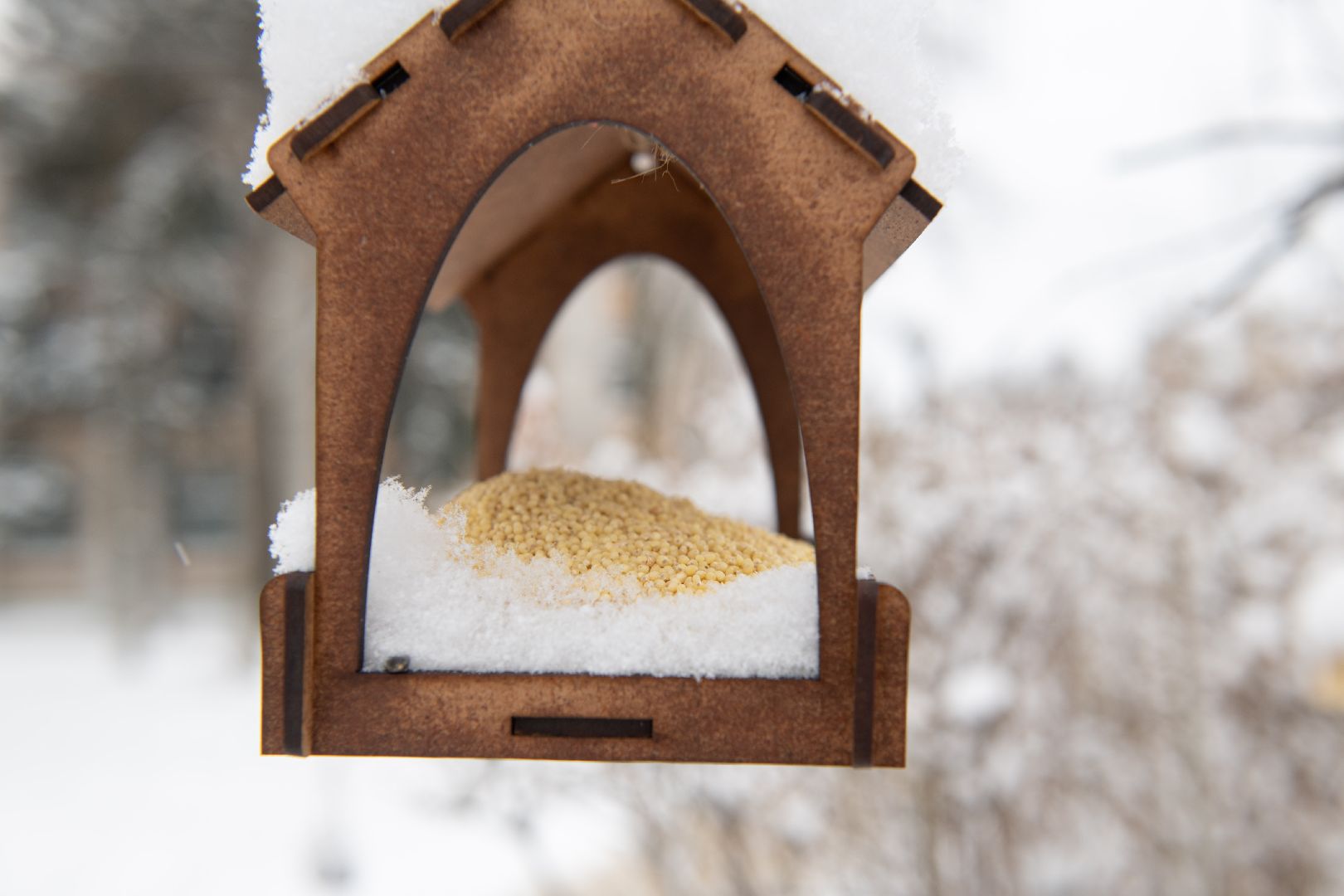 лыткарино, общество, парк, интерактив,