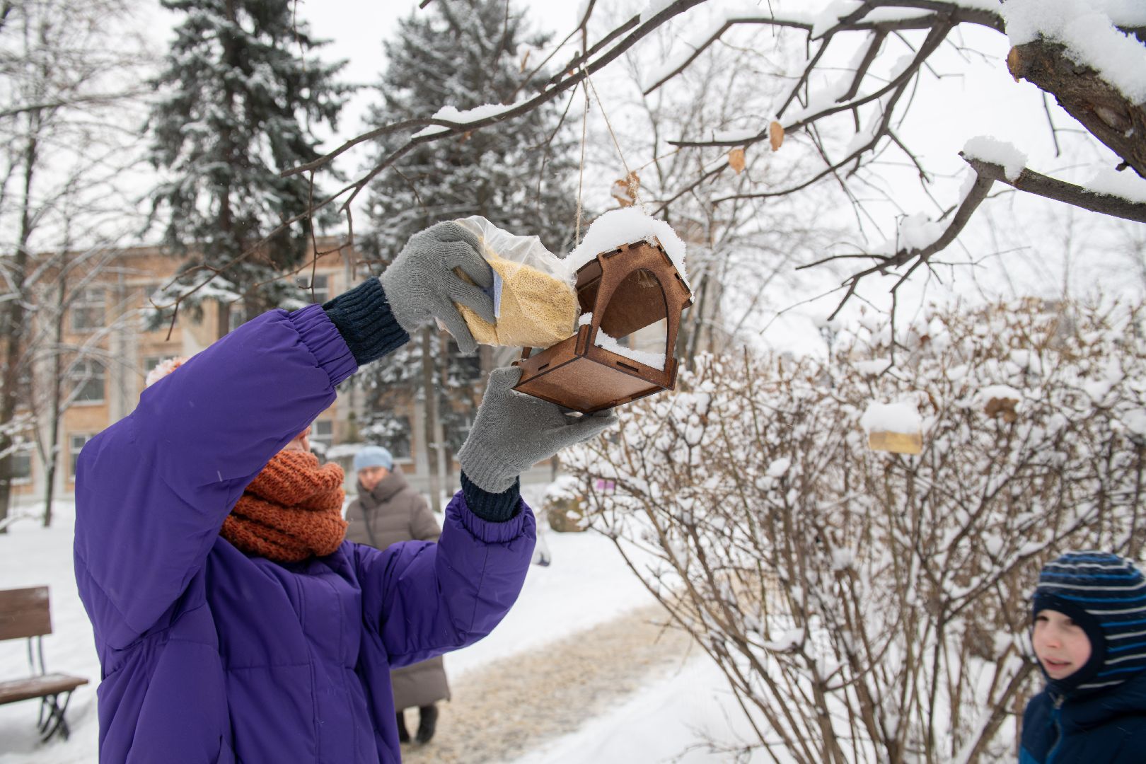 лыткарино, общество, парк, интерактив,
