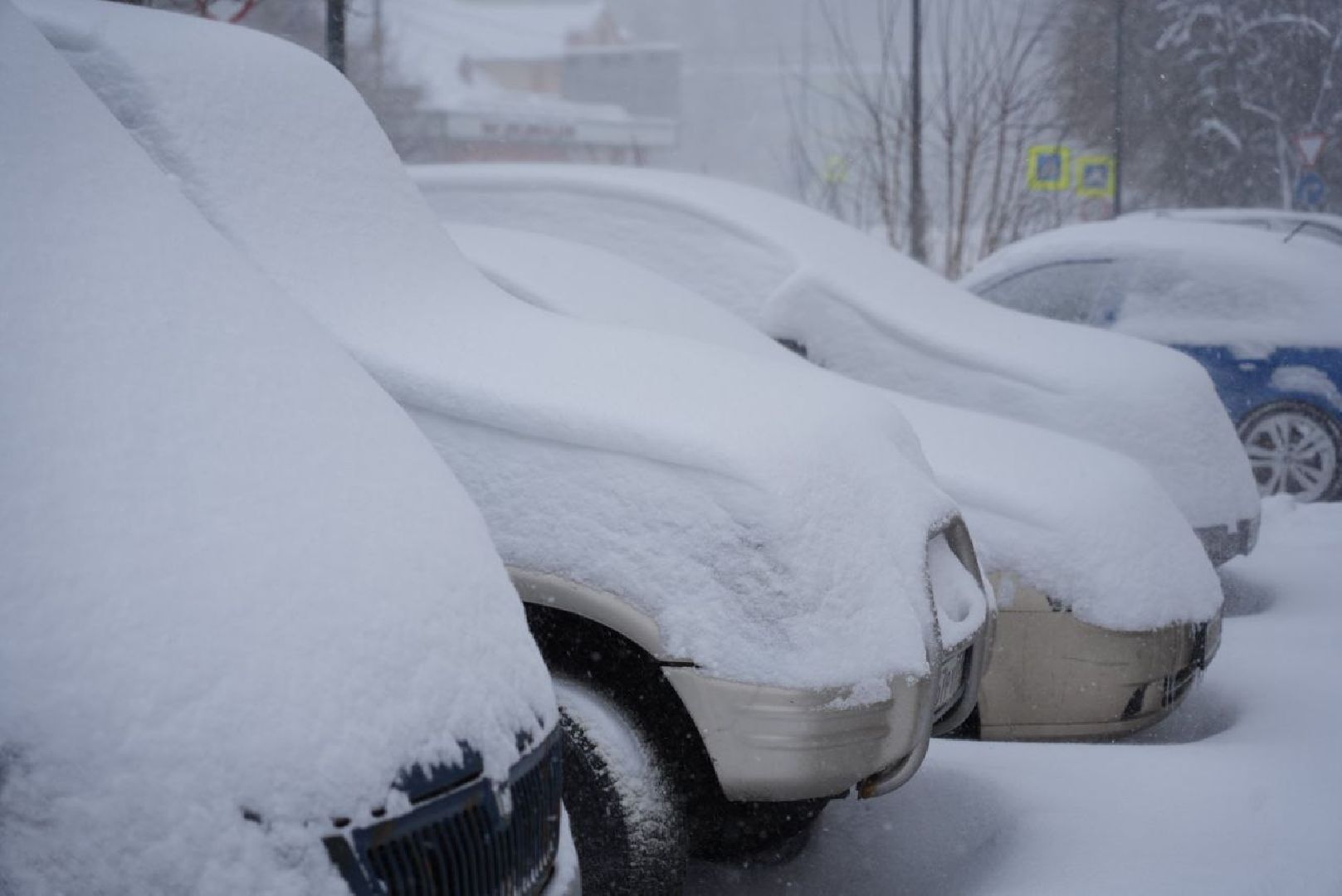 Сергиев Посад, ЖКХ, Коммунальщики, Снегопад, Непогода, Зима, Сергиево-Посадский городской округ,
