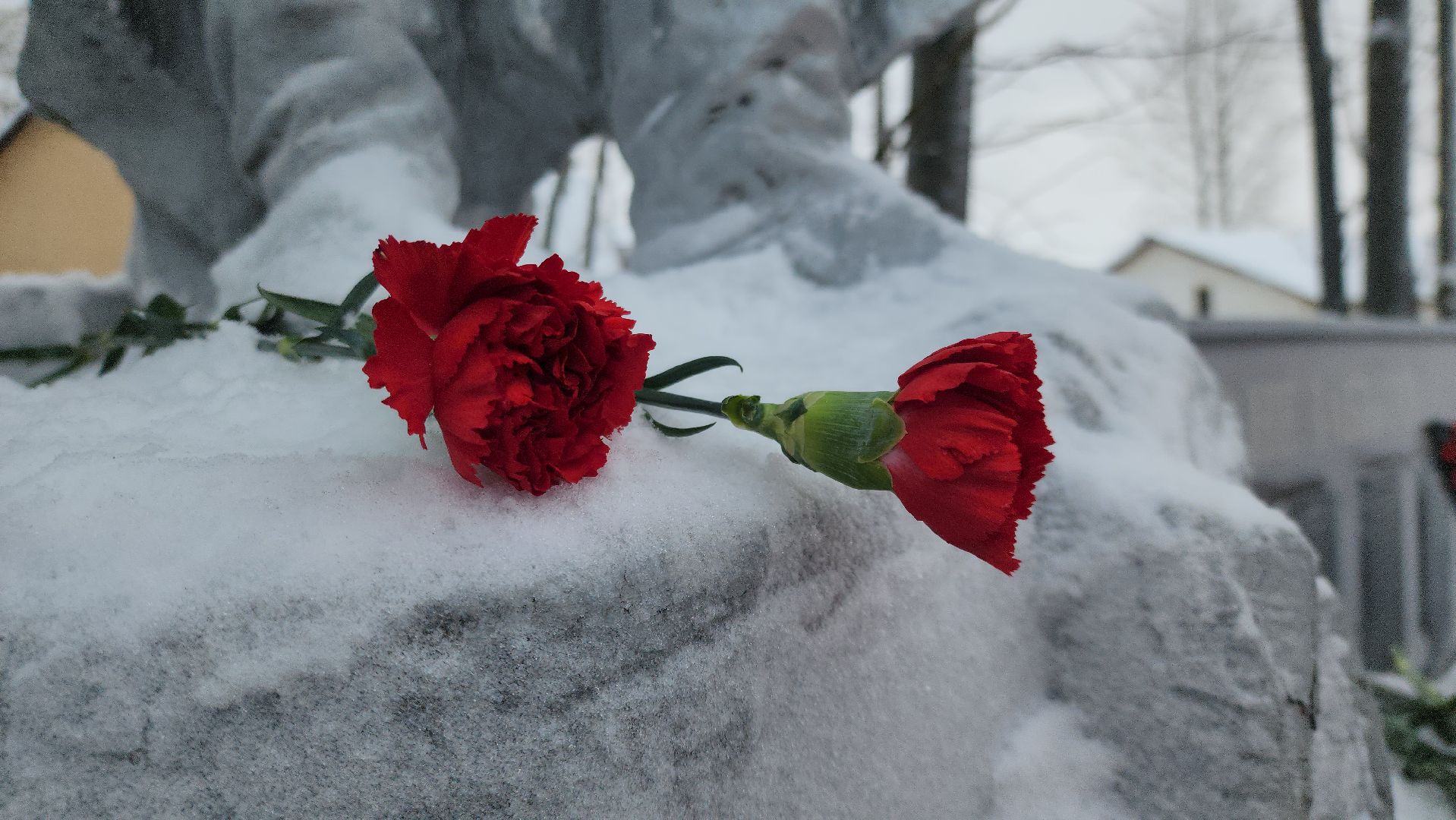освобождение города, великая отечественная война, ВОв, тучково, руза, рузский городской округ, московская область,