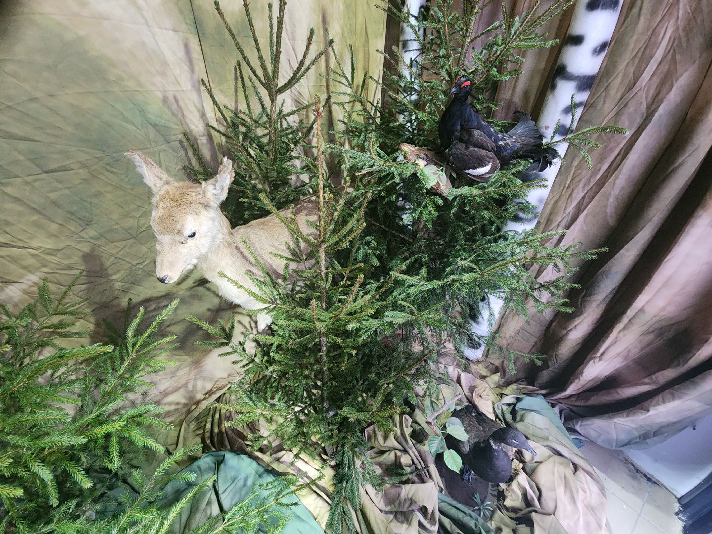 Серпухов, подмосковье, культурный код, парки Серпухова, парк имени олега степанова,