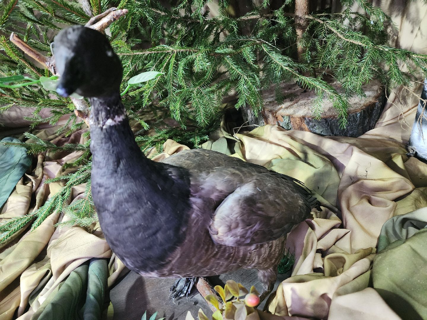 Серпухов, подмосковье, культурный код, парки Серпухова, парк имени олега степанова,