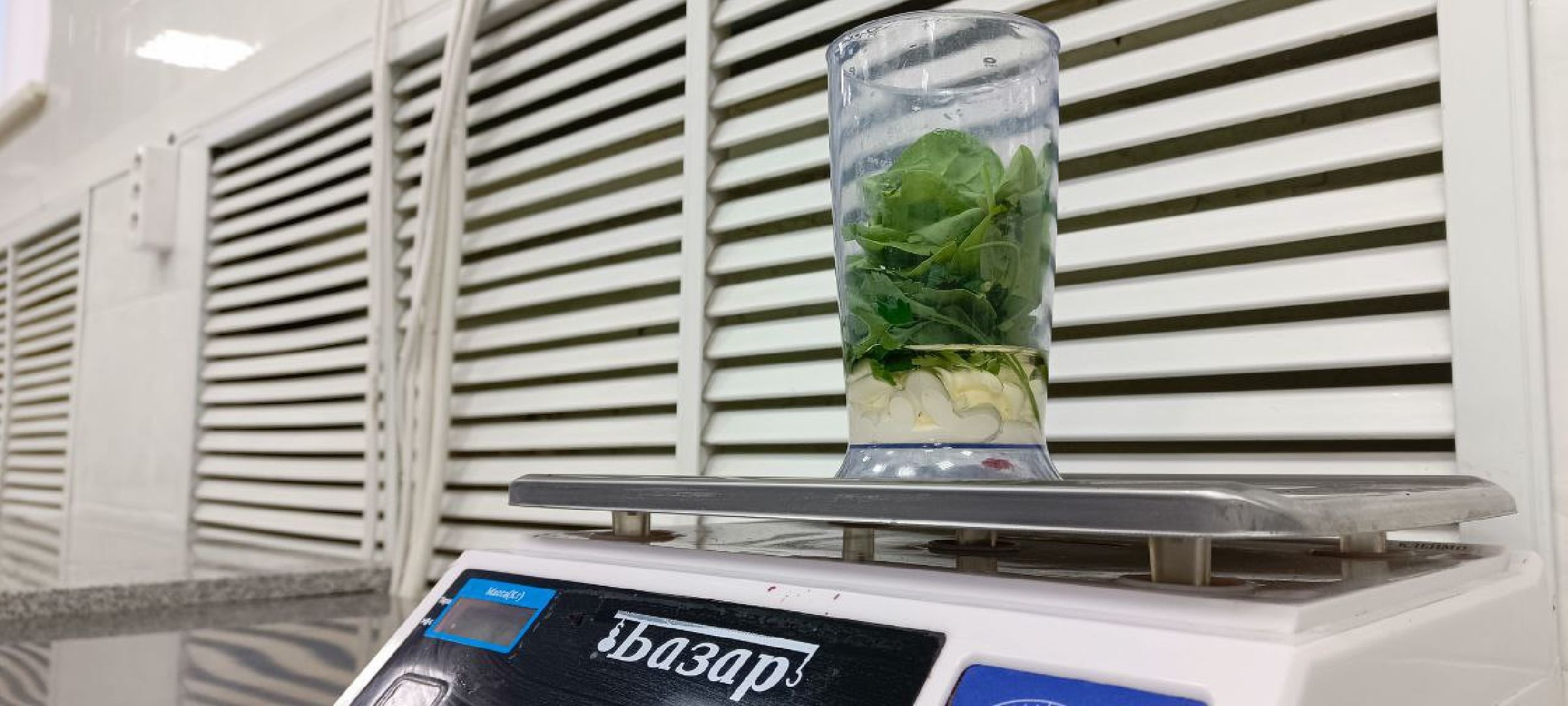 Дмитров, Дмитровский техникум, Юниорская Битва Кулинаров,