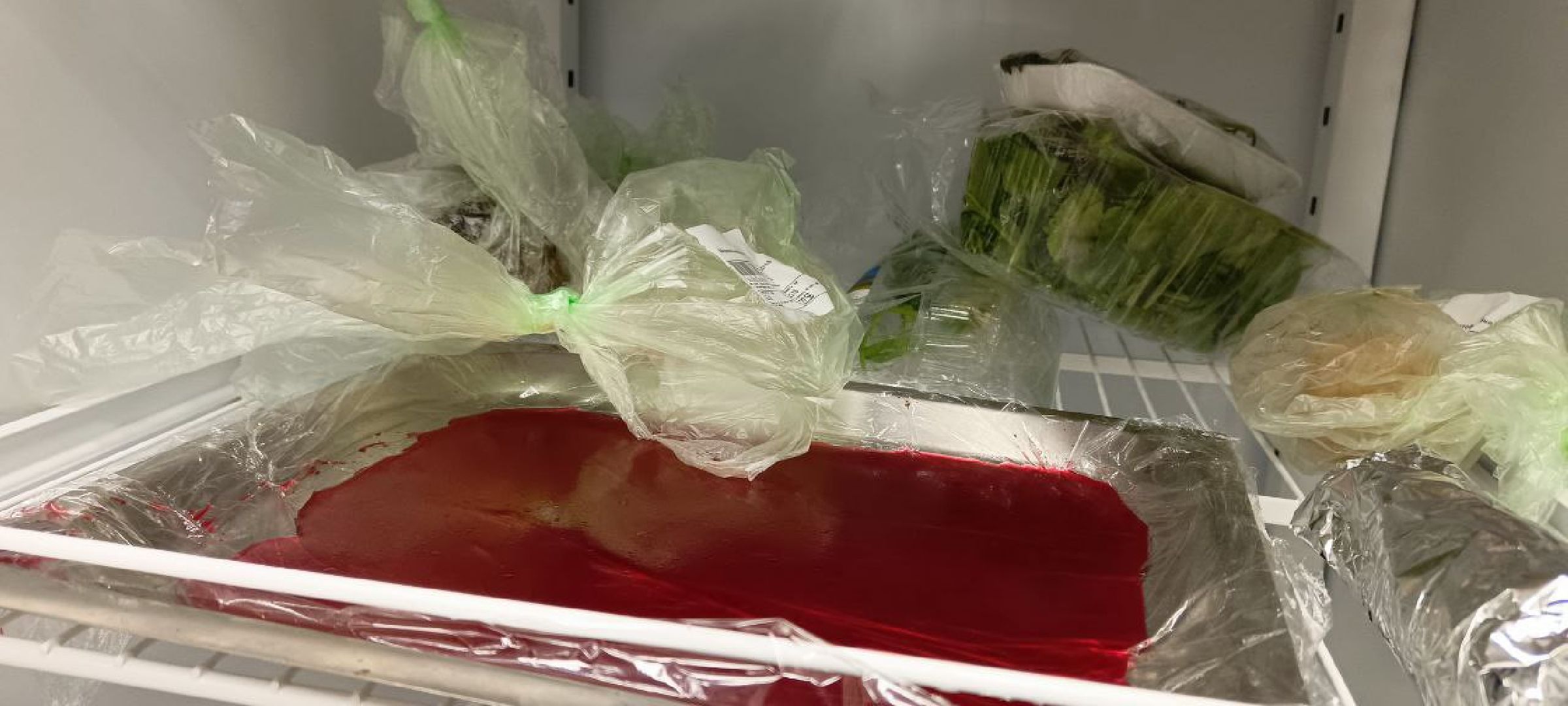 Дмитров, Дмитровский техникум, Юниорская Битва Кулинаров,