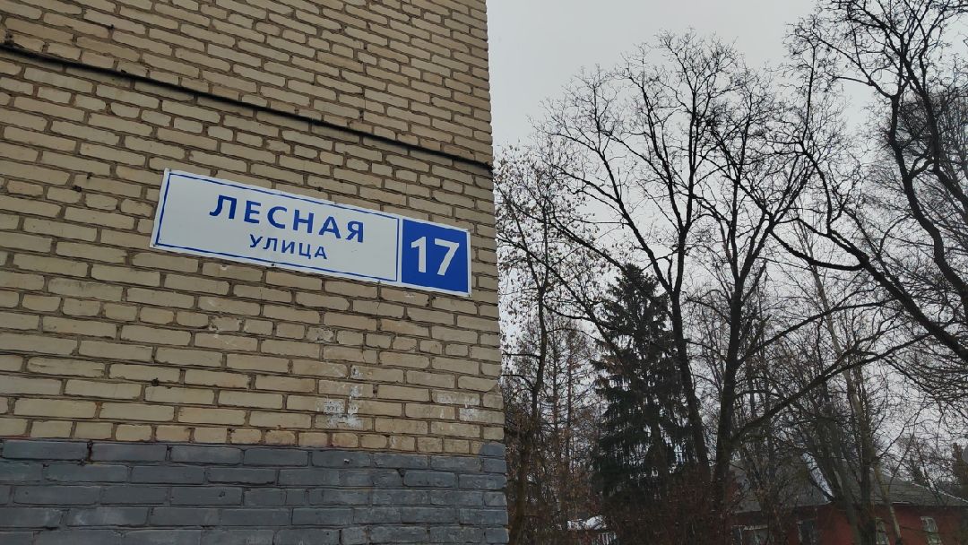 Пушкино, Пушкинский, Правдинский, Весна в Подмосковье, благоустройство, управляющая компания, уборка снега,