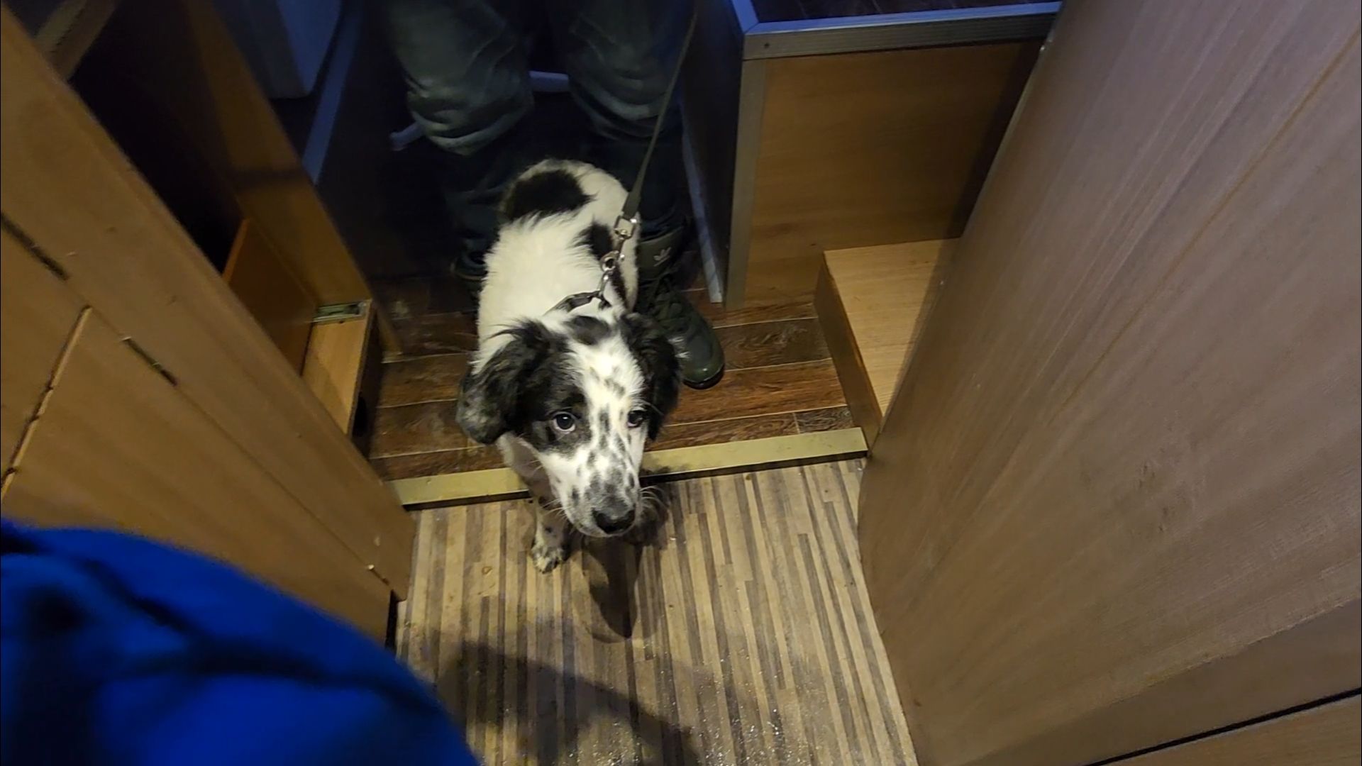 подольск, климовск, жкх,