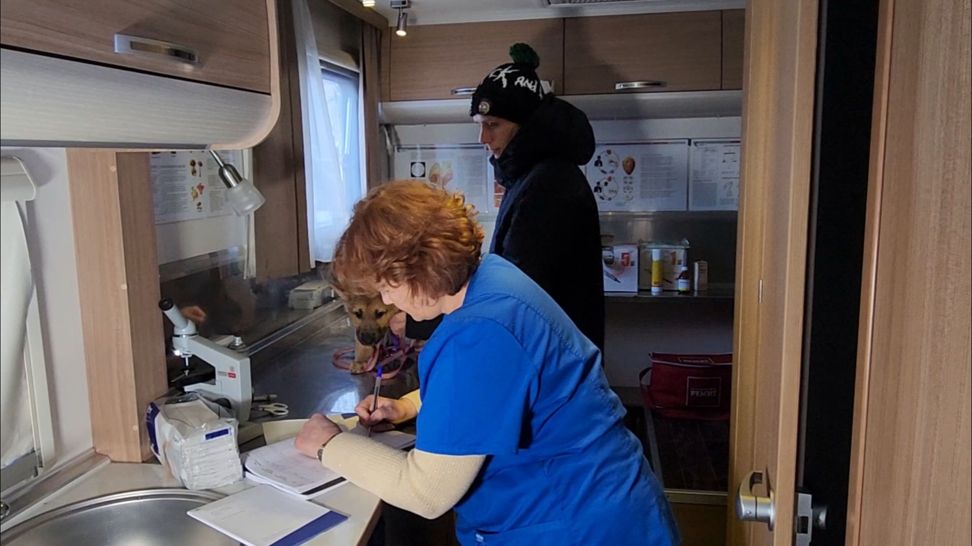 подольск, жкх, ветеринария,