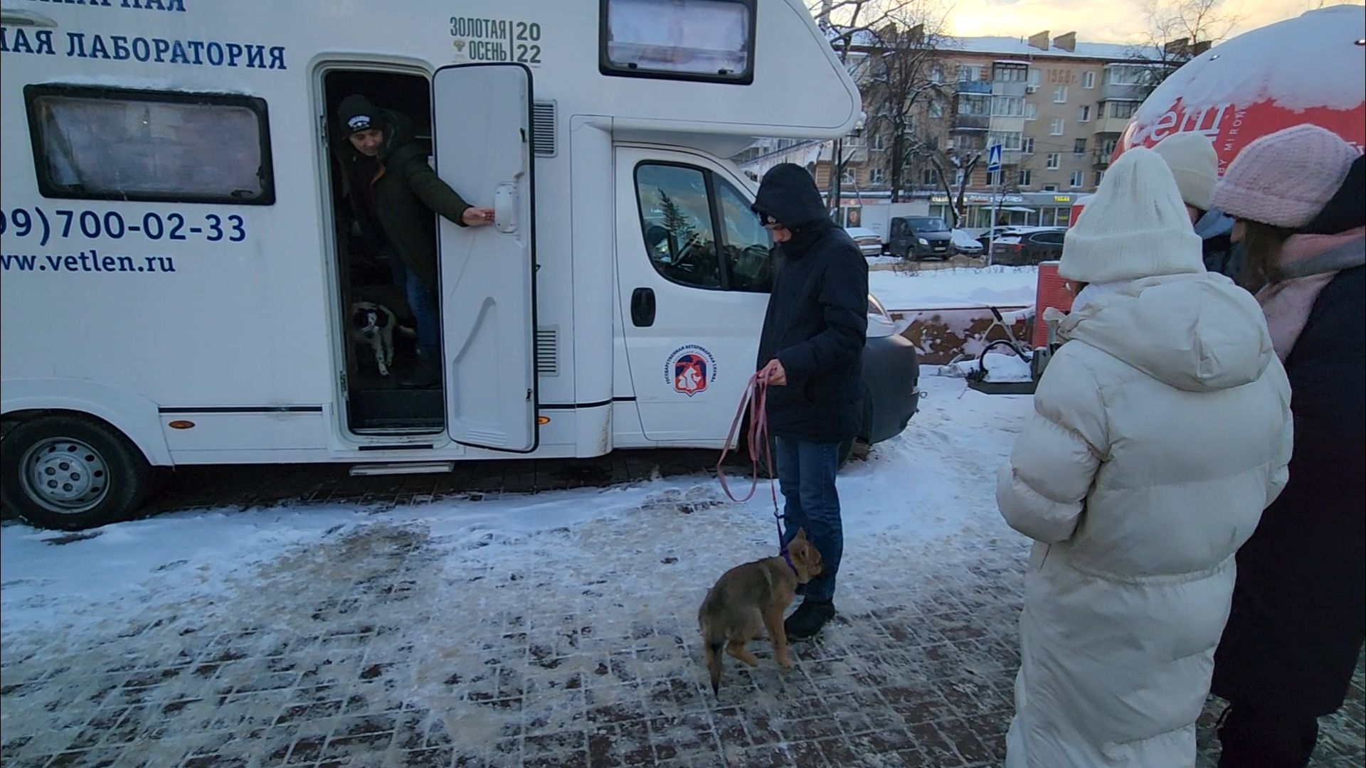 подольск, жкх, ветеринария,