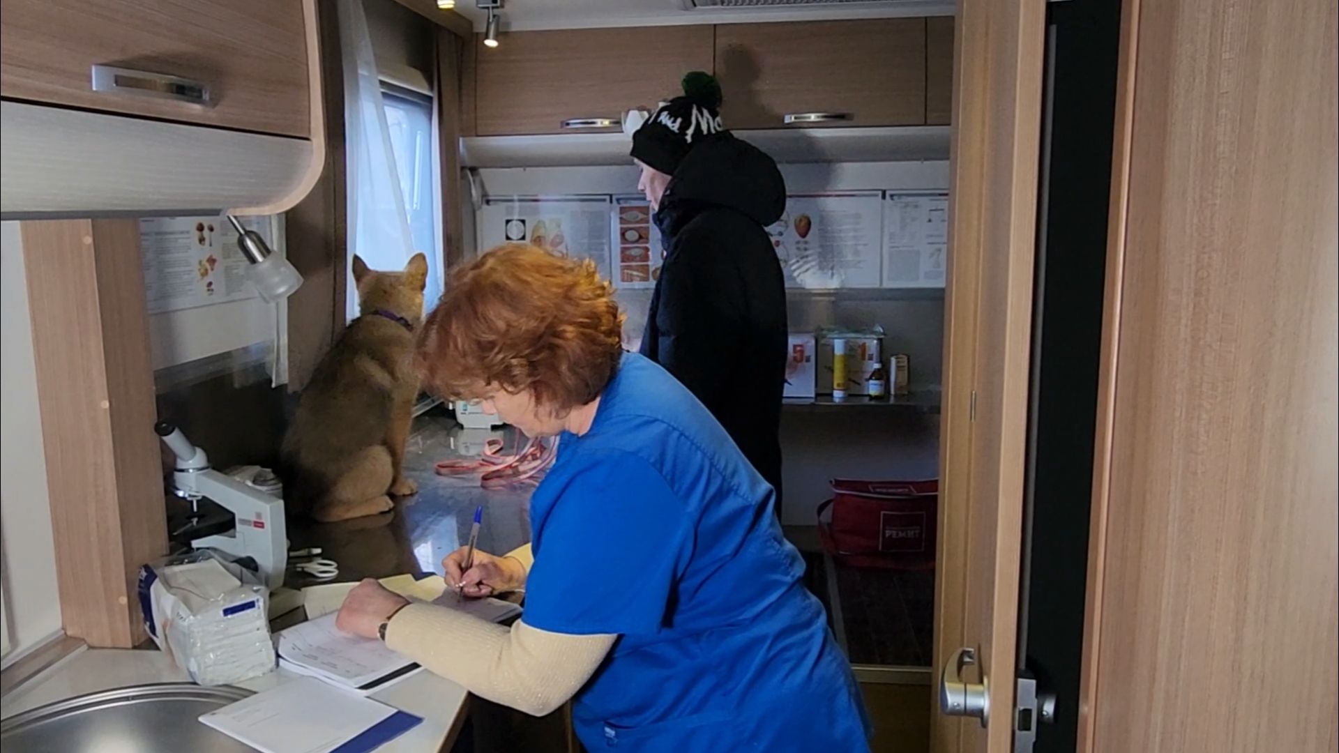 подольск, жкх, ветеринария,