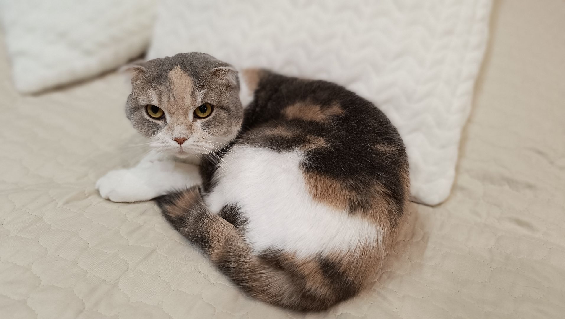 жкх, отопление, горячая вода,