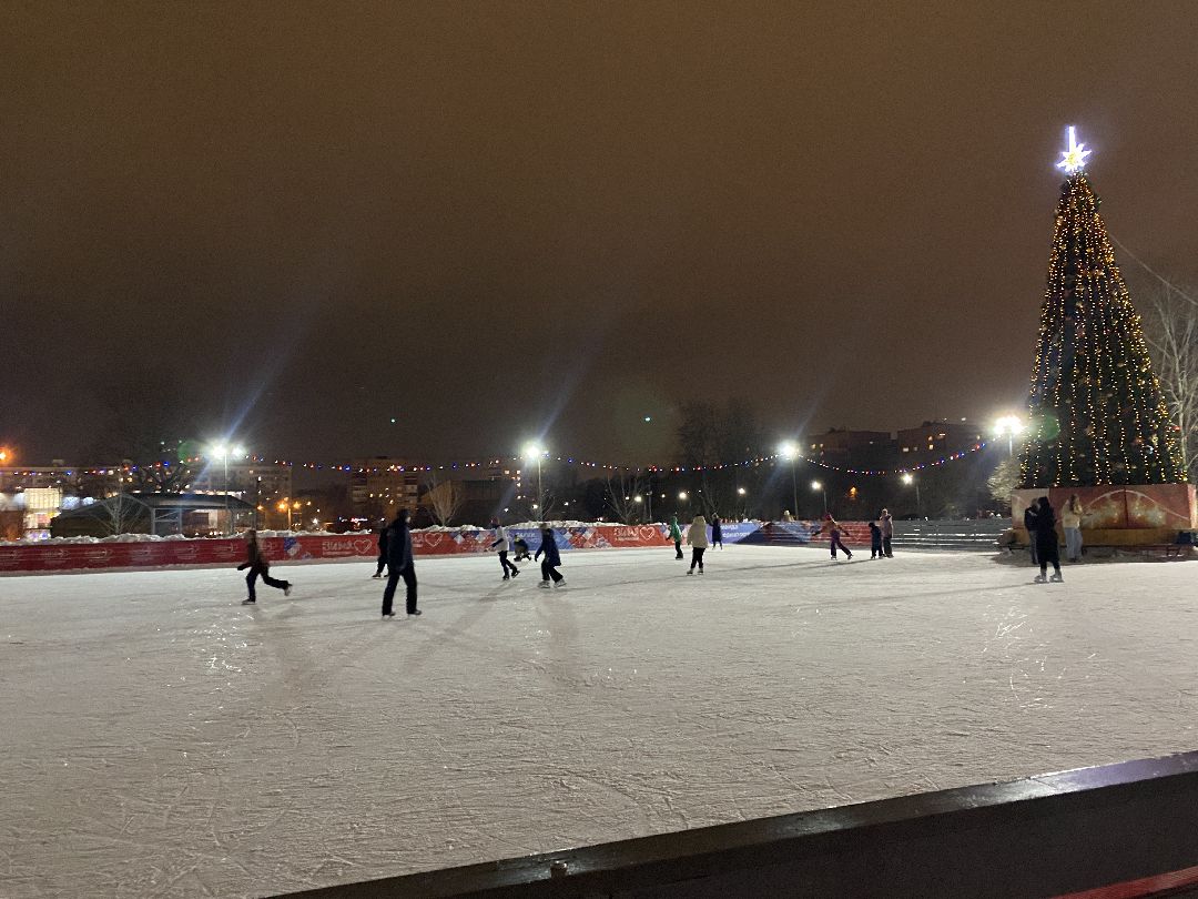 Долгопрудный, общество