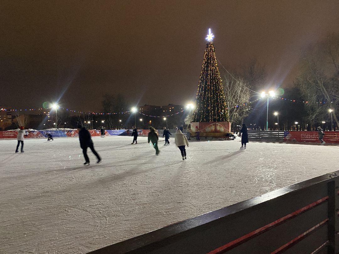 Долгопрудный, общество