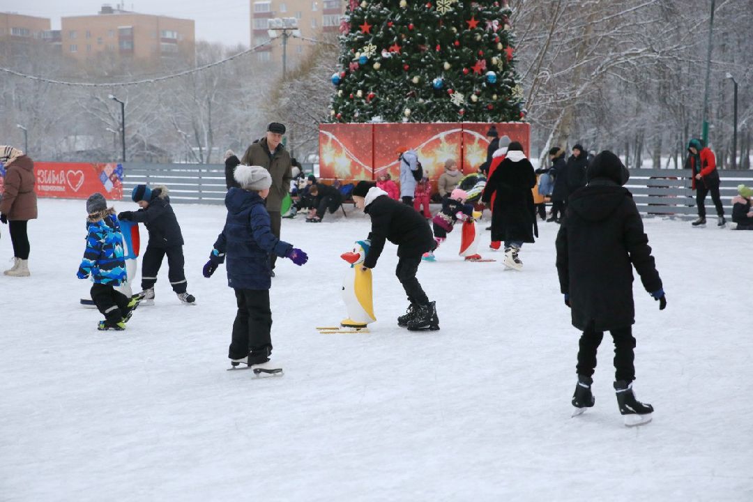 Долгопрудный, общество