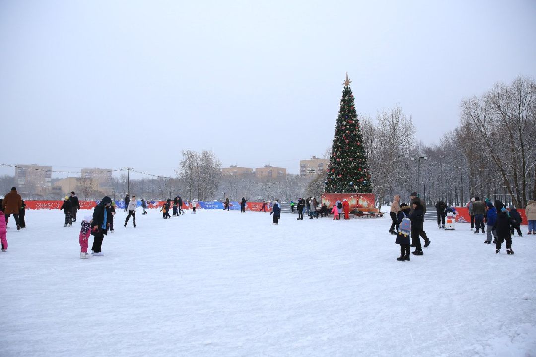 Долгопрудный, общество