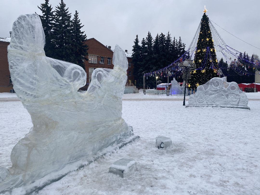 Долгопрудный, общество