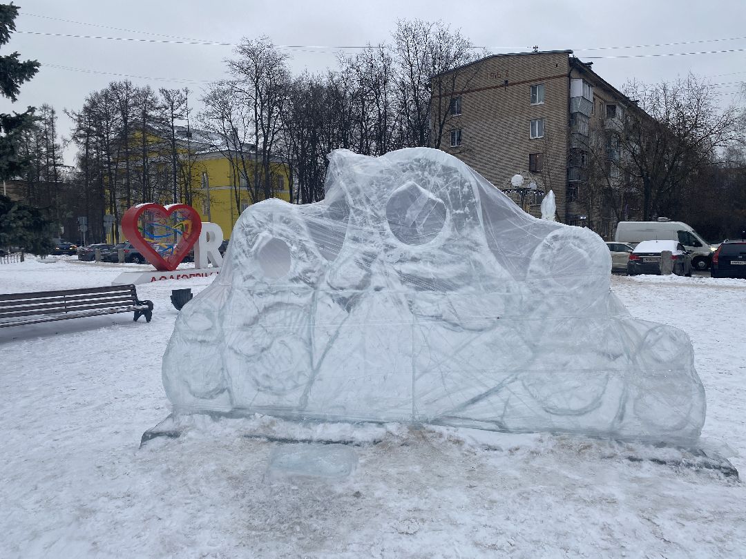 Долгопрудный, общество