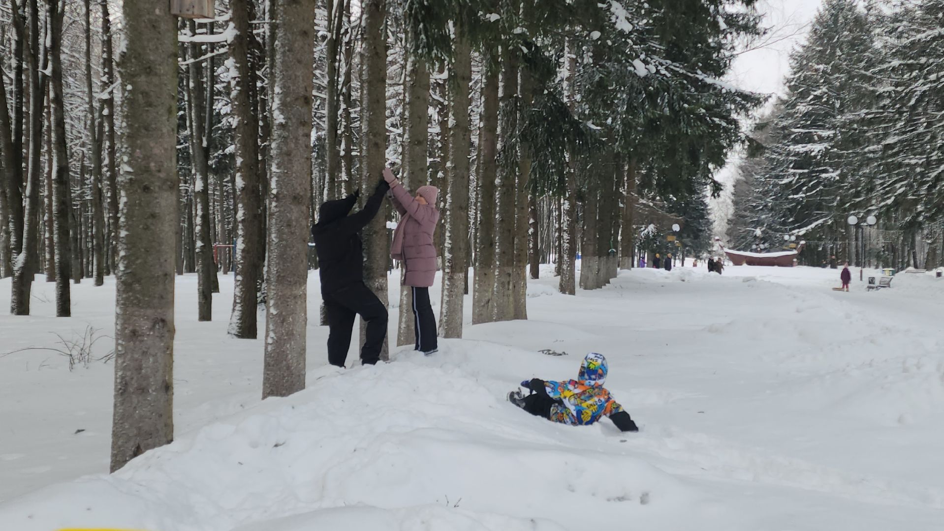 волоколамск, парк, снег, зима в подмосковье, мероприятие, елки, соревнования, конкурсы, мастер класс,