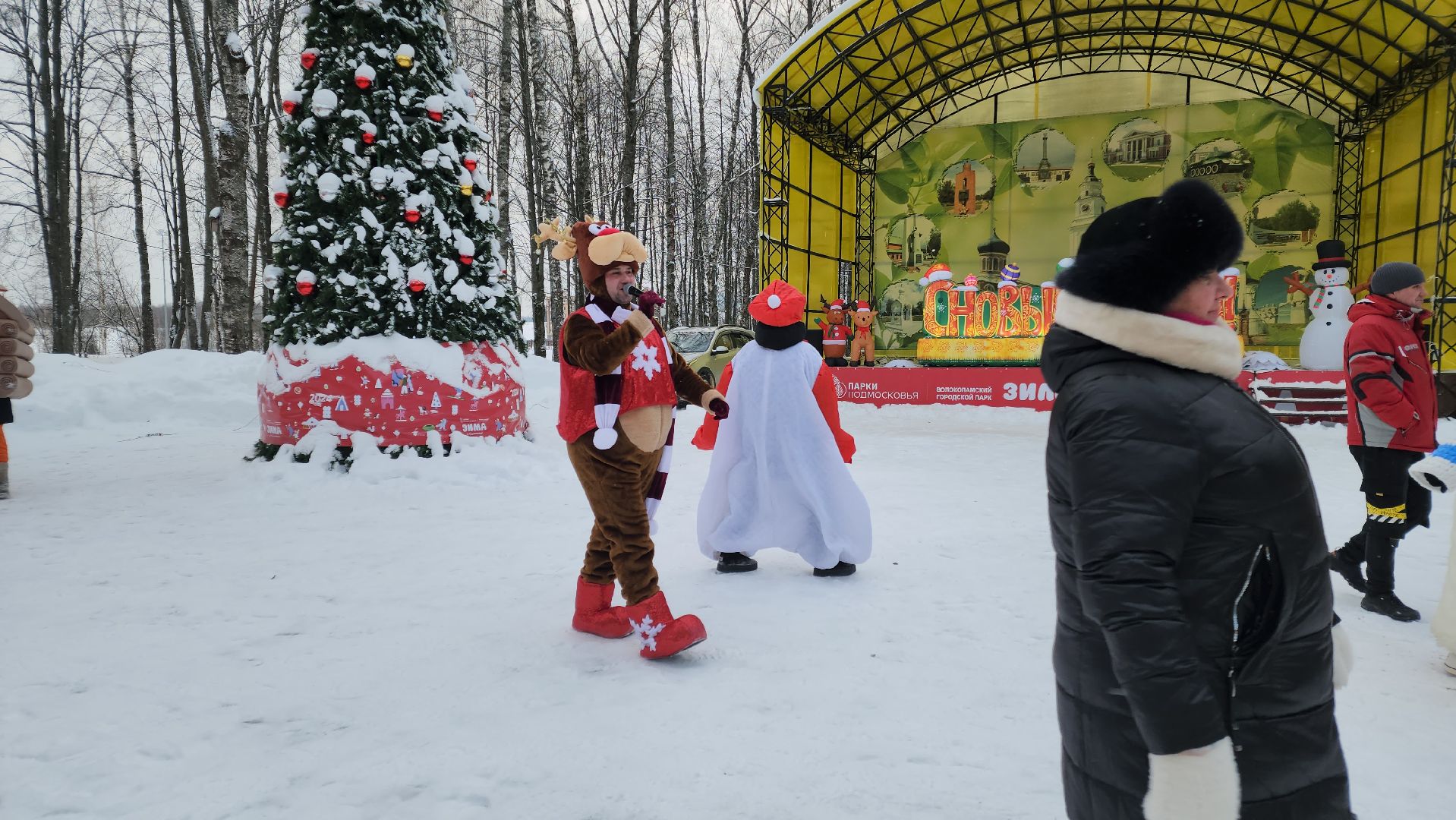 волоколамск, парк, снег, зима в подмосковье, мероприятие, елки, соревнования, конкурсы, мастер класс,