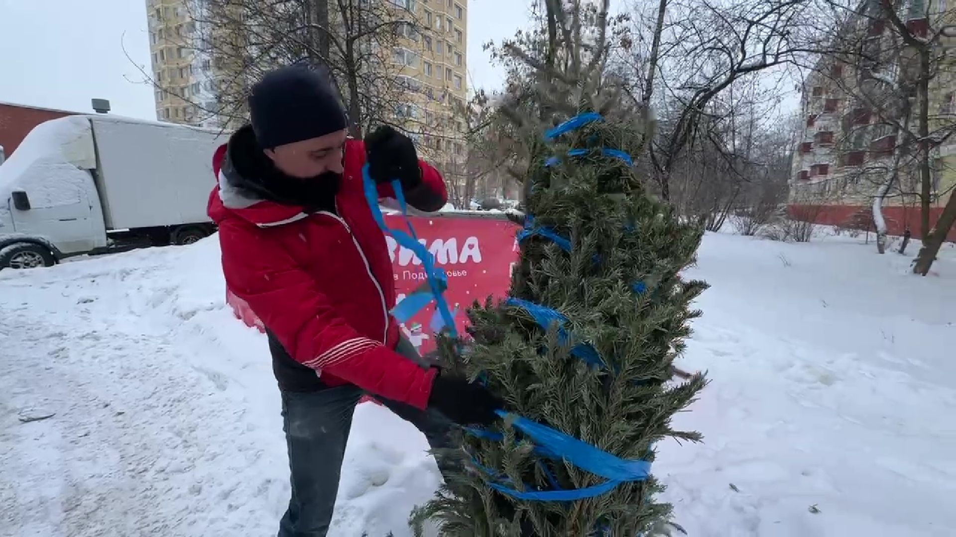 Реутов, ЖКХ, елки, вторая жизнь, акция, экология,