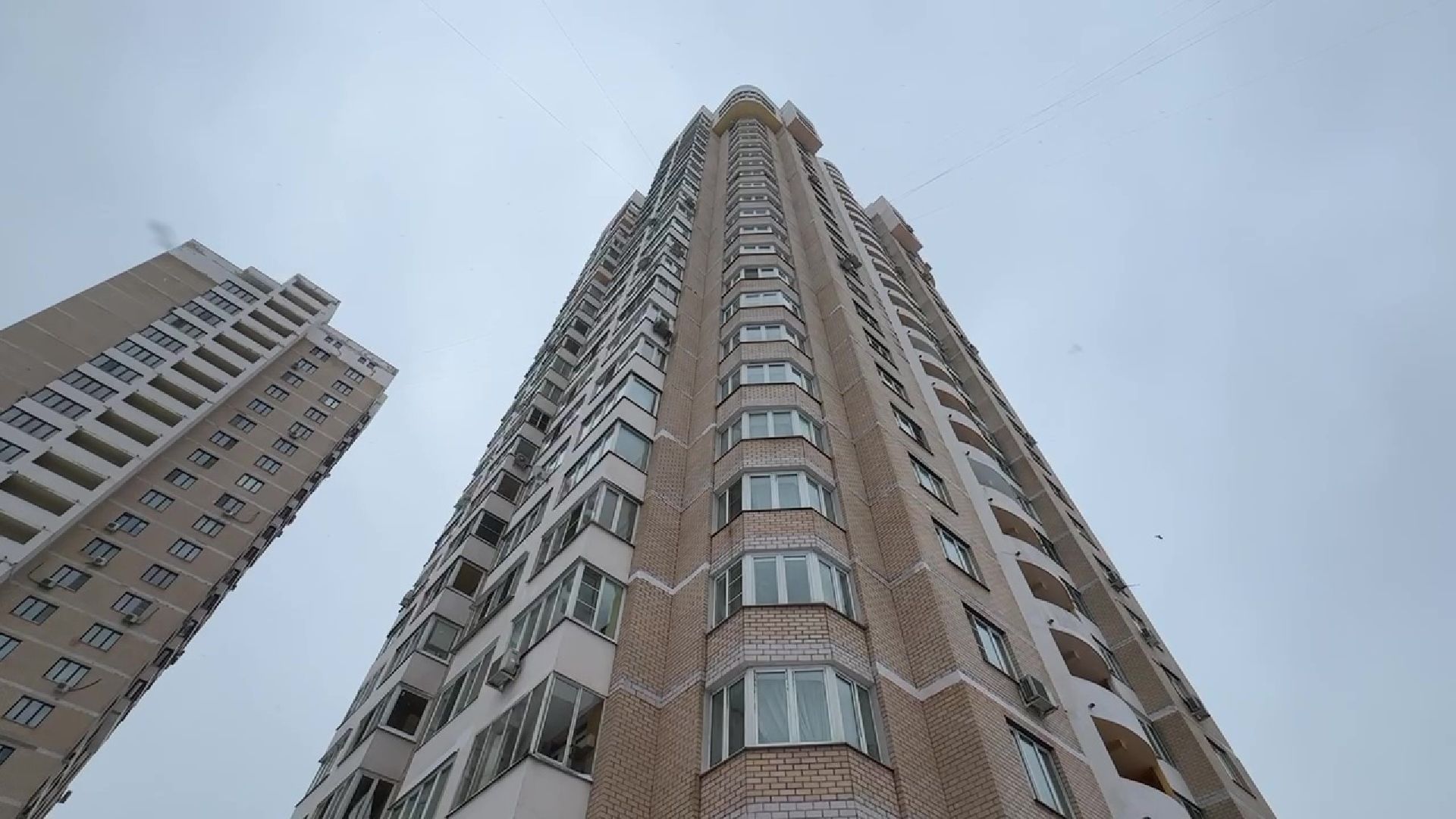 Реутов, ЖКХ, елки, вторая жизнь, акция, экология,