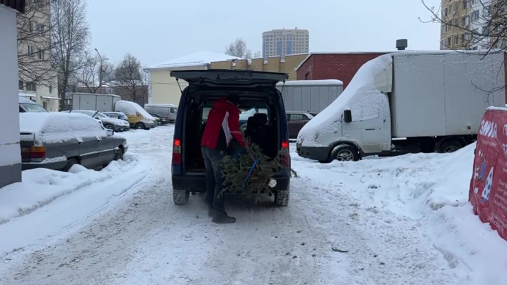 Реутов, ЖКХ, елки, вторая жизнь, акция, экология,