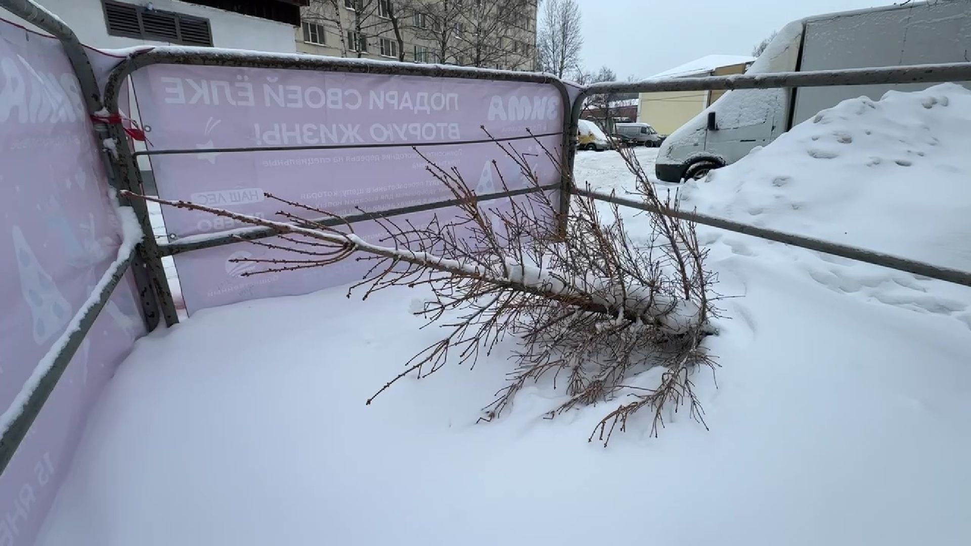 Реутов, ЖКХ, елки, вторая жизнь, акция, экология,