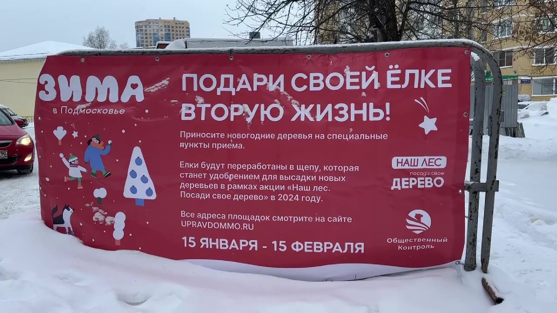 Реутов, ЖКХ, елки, вторая жизнь, акция, экология,