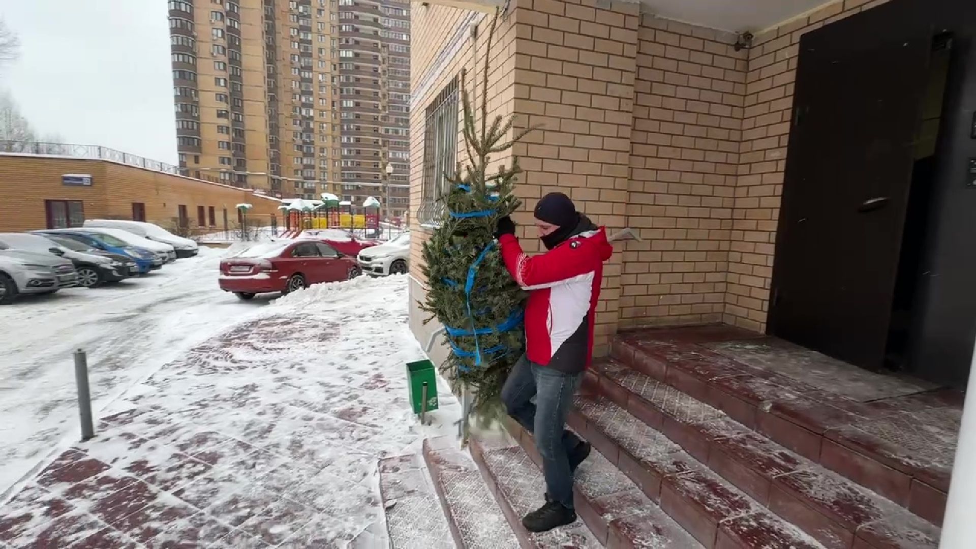 Реутов, ЖКХ, елки, вторая жизнь, акция, экология,