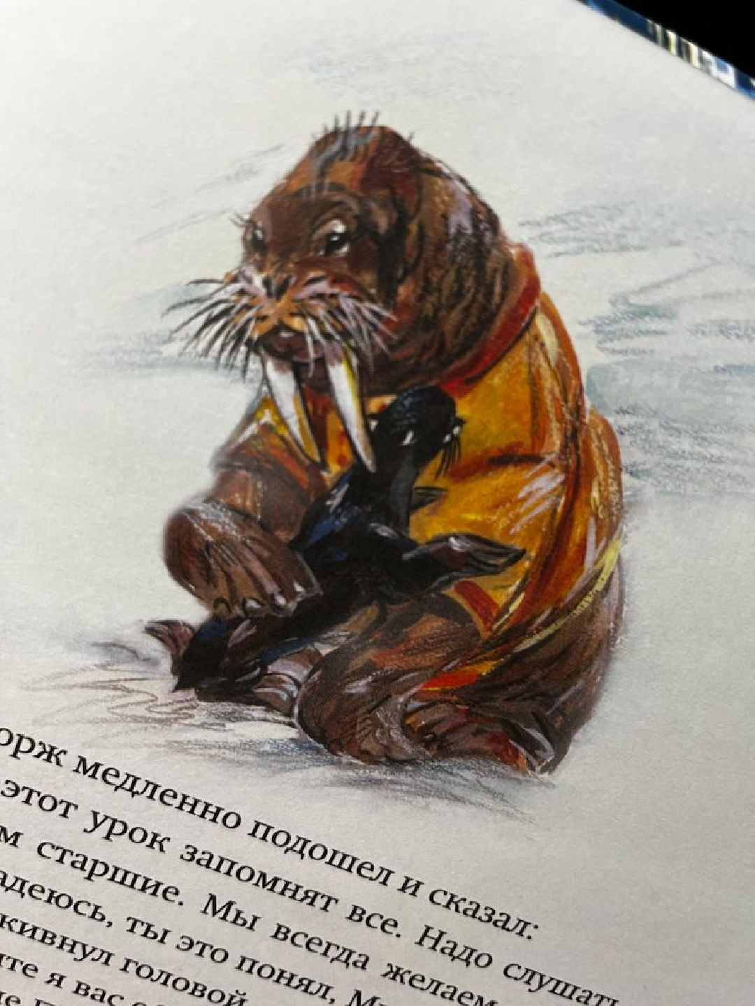 Наро-Фоминск, Наро-Фоминский городской округ, книга, детская литература, культура, Подмосковье, Антон Жоров, Вера Андрияшина