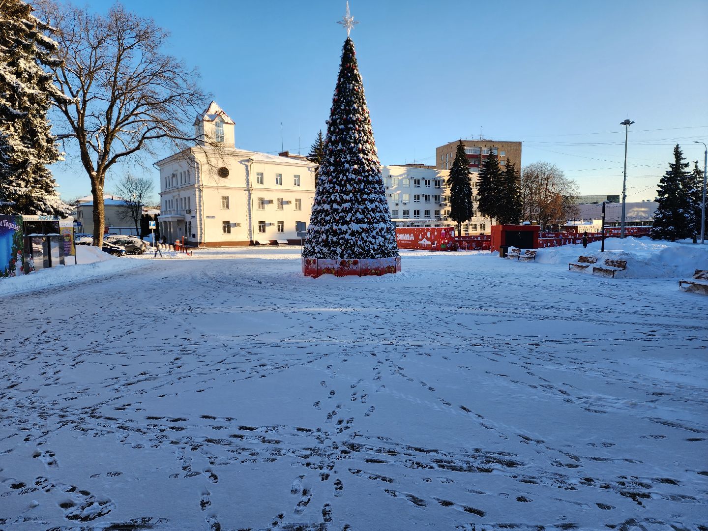 раменское, общество, нутрициолог из Раменского, как избавиться от лишнего веса и сохранить здоровье,