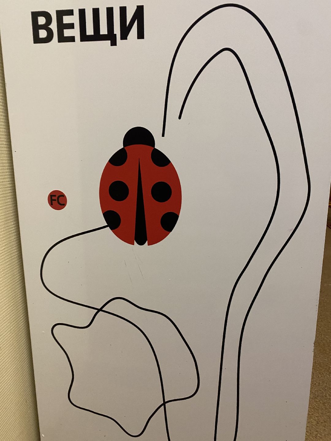 Краснознаменск, Добрый шкаф, Мария Волошина, благотворительность, утилизация вещей