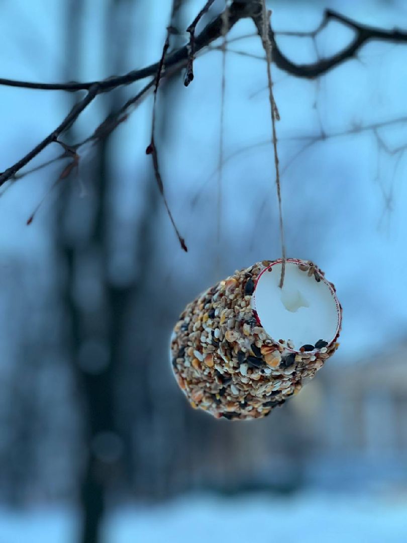 Елки, Санки, Парки, Зимний отдых, Мастер-классы,